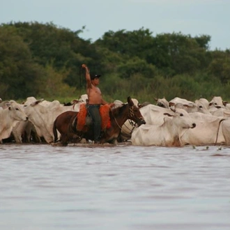 tourhub | Oasis Overland | BUENOS AIRES to RIO (18 days) Waterfalls, Wetlands & Wildlife 