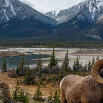 tourhub | Cosmos | Canadian Train Odyssey 