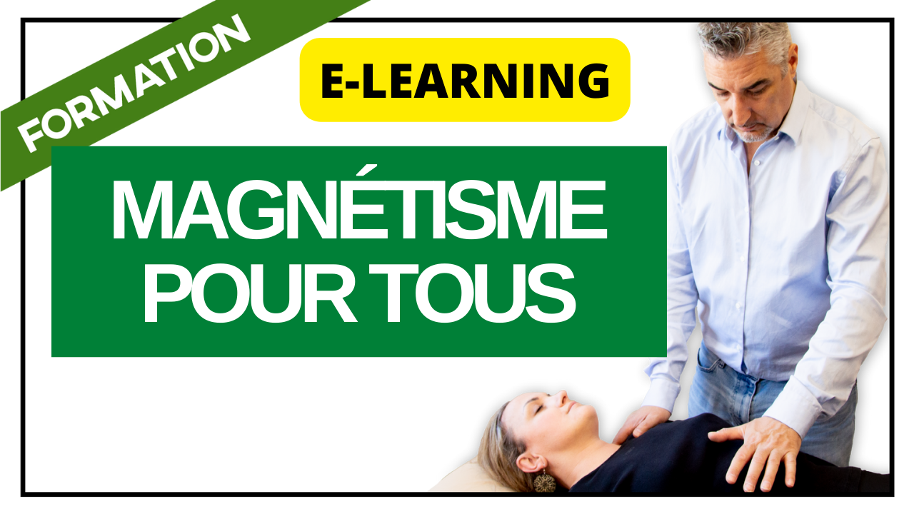 Représentation de la formation : Formation Magnétisme pour Tous (Technicien(ne)  E-LEARNING