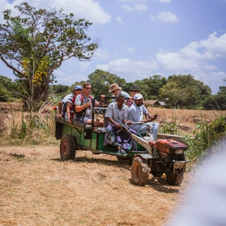 tourhub | Exodus Adventure Travels | Sri Lankan Highlights 