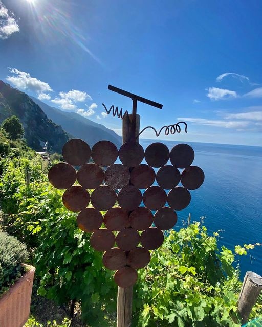 Il Tour dei Vigneti “Verticali” di Riomaggiore, con Degustazione di Vini Tripla A in Semi-Privato - Alloggi in Cinque Terre