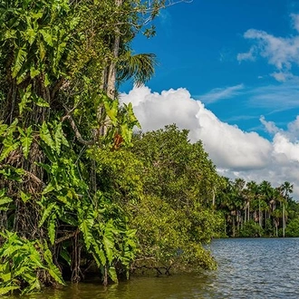 tourhub | Bamba Travel | Puerto Maldonado Amazon Superior Lodge 3D/2N (from Puerto Maldonado) 