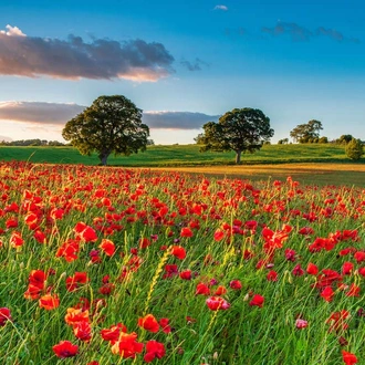 tourhub | Explore! | Cycle Hadrian's Wall - Coast to Coast 