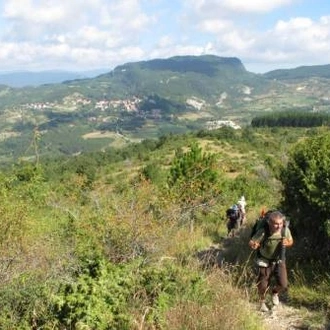 tourhub | UTracks | St Francis Way: Chiusi to Città di Castello 