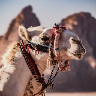 tourhub | Tourist Israel | 2 Day Tour to Petra and Wadi Rum from Tel Aviv 