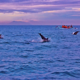 tourhub | Today Voyages | Diving in The Heart of Bali and Nusa Penida Island 