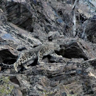 tourhub | Wild Frontiers | Pakistan: Under a Pagan Moon 