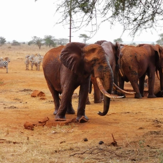 tourhub | Frenzy Adventures Limited | Karibu Kenya 