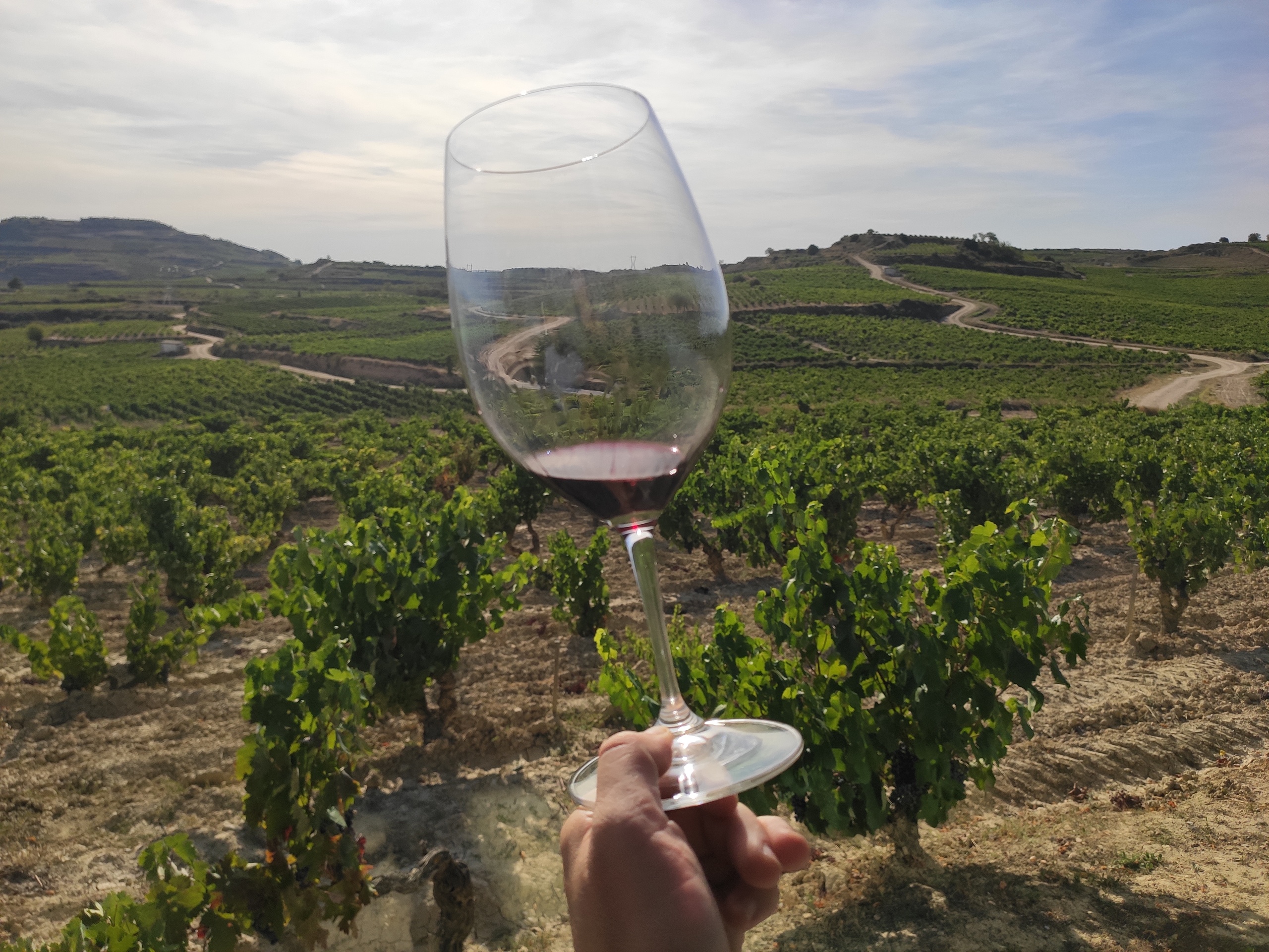 Tour de vinos Rioja: 2 bodegas desde Pamplona en Semi-Privado con Recogida - Alojamientos en Pamplona