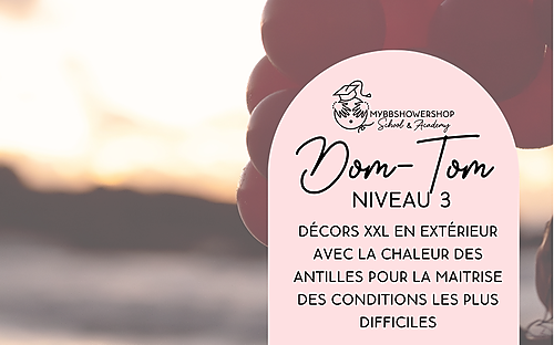 Représentation de la formation : #07B Ballons : Ballons organiques - Niv 3 DOM TOM