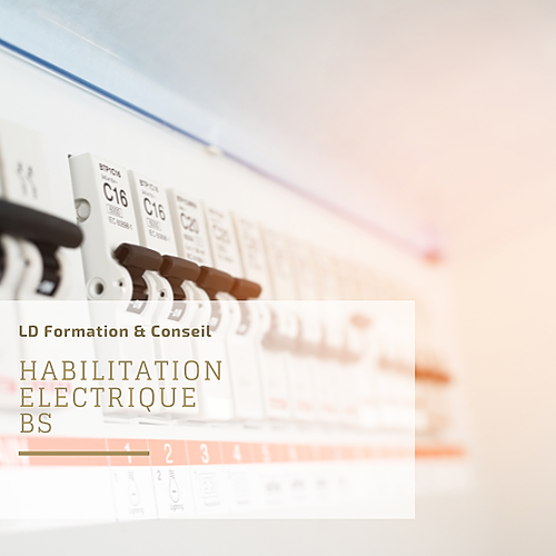 Représentation de la formation : Habilitation électrique BS