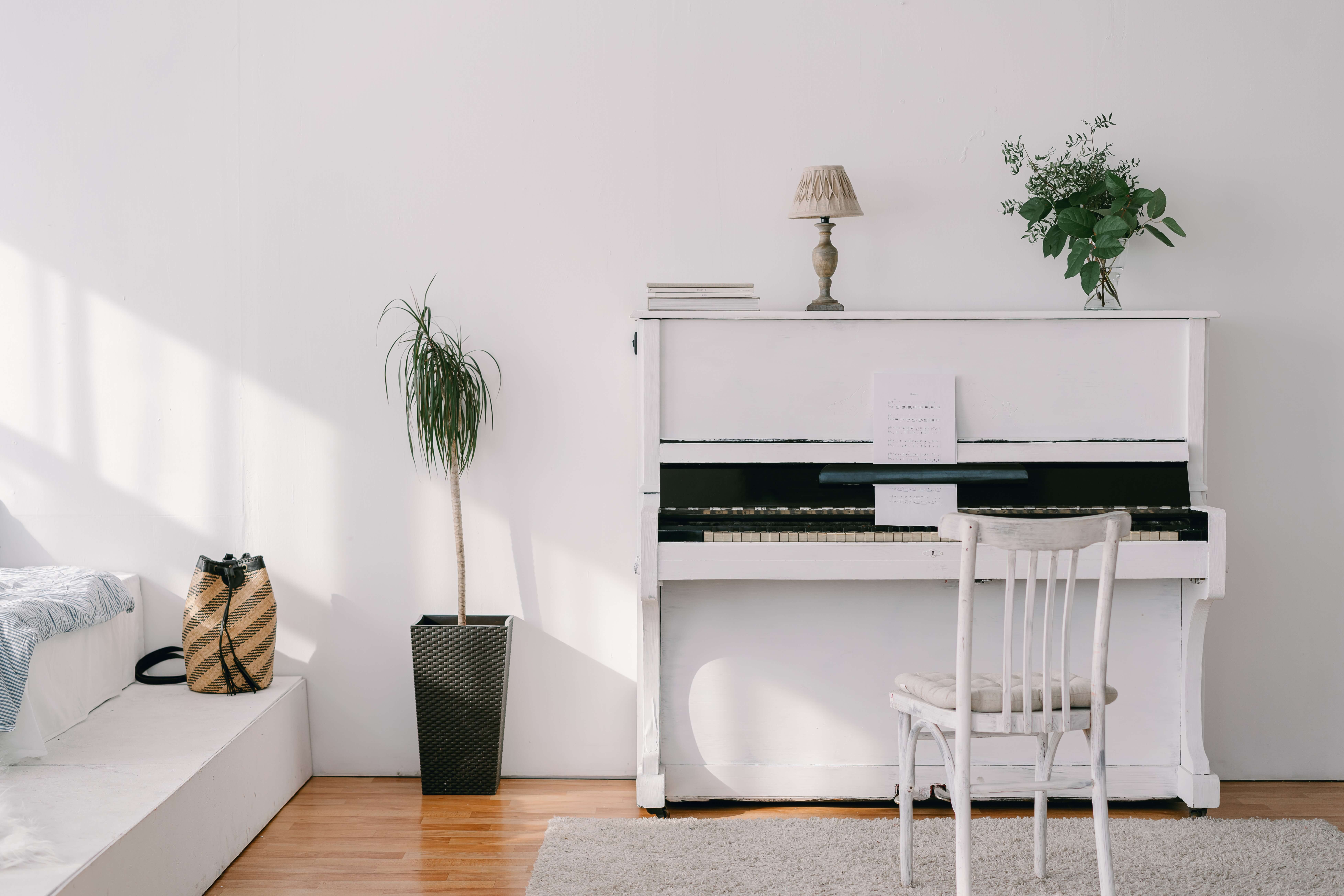 Most Elegant and Minimalist Home Decor Design Trends You Should Consider