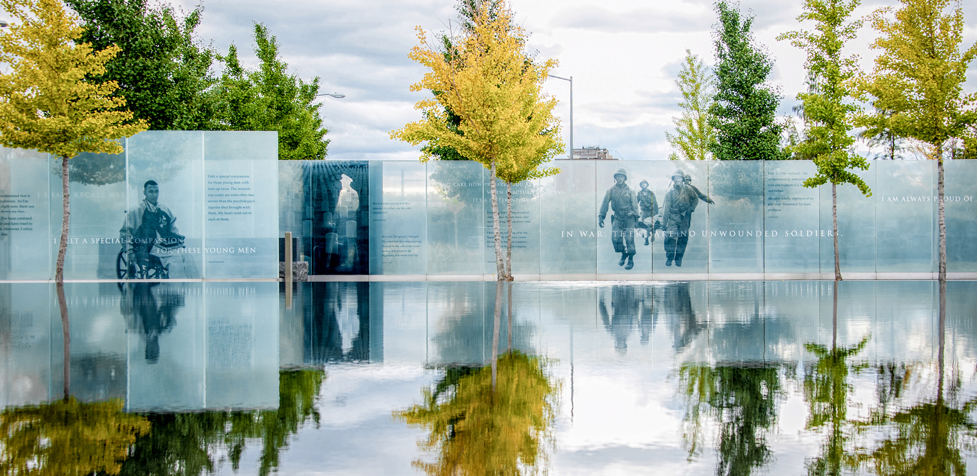 A Grove Lines the Reflecting Pool