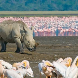 tourhub | On The Go Tours | Kenya Wildlife Week - 7 days 