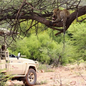 tourhub | Chameleon Safaris Namibia | 7 Day Northern Namibia & Skeleton Coast Camping Safari 