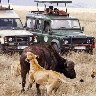 tourhub | Gracepatt Ecotours Kenya | 8 days Spectacular Tanzania Northern Circuit Wildlife Safari Lodge  