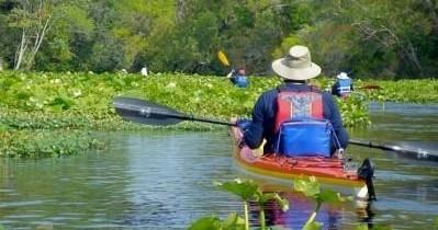 Wekiva River Kayak Tour