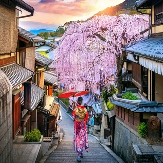 tourhub | Today Voyages | Dive deep into Japan in 3* 