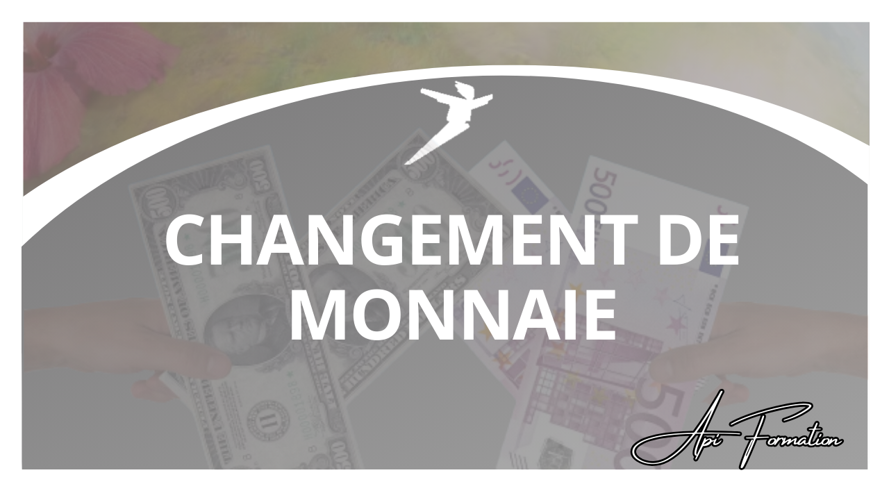 Représentation de la formation : CHANGEMENT DE MONNAIE