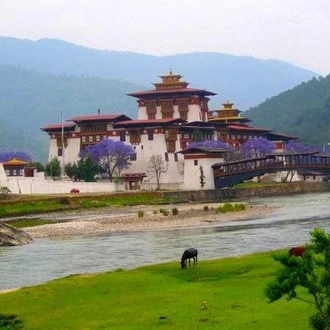 tourhub | Encounters Travel | Birds of Bhutan tour 