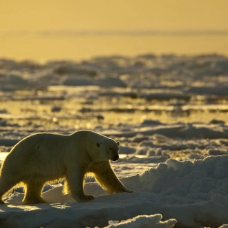 tourhub | Intrepid Travel | West Greenland Gems: Fjords, Icebergs, and Culture 