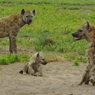 tourhub | Bundu Safaris Ltd | Safari through the Zambezi and Luangwa Valleys 