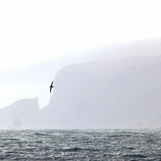 tourhub | Heritage Expeditions | Galapagos of the Southern Ocean 