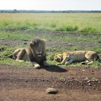 tourhub | Royal Private Safaris | 9 DAYS EXCITING KENYA SAFARI WITH CHIMPANZEE SANCTUARY VISIT 