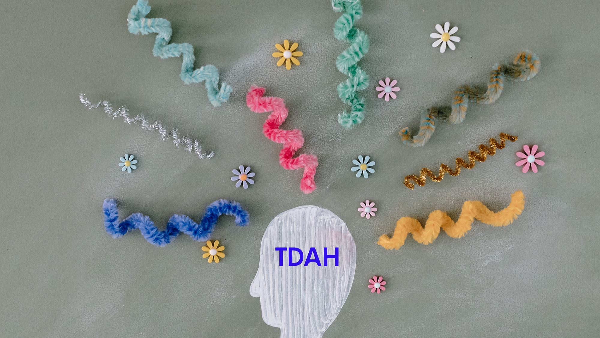 Représentation de la formation : Le TDAH