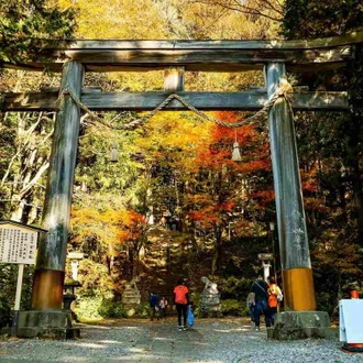 tourhub | YellowWood Adventures | Walking through the traditions & history of Japan 