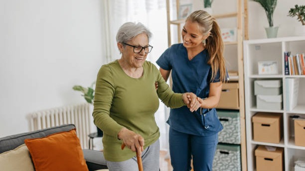 Représentation de la formation : 🟢 Titre Professionnel Assistant de Vie aux Familles (ADVF)