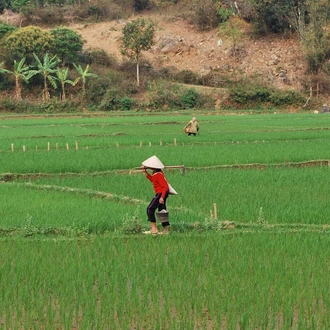 tourhub | Explore! | Family Vietnam In Depth 