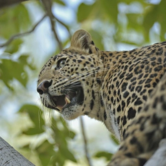 tourhub | Le Passage to India | Golden Triangle of India & Tigers, Private Tour 