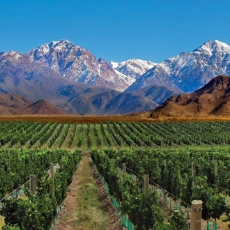 tourhub | Tangol Tours | 5-Day Mendoza Luxury Tour 