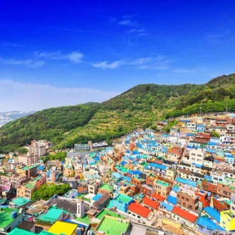 tourhub | Travel Department | Highlights of South Korea - Unique Small Group 