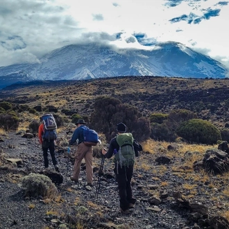 tourhub | Spider Tours And Safaris | Mount Kilimanjaro Climbing via Rongai Route 7 days Tanzania 