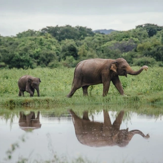 tourhub | Intrepid Travel | Sri Lanka Explorer 