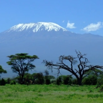 tourhub | Spider Tours And Safaris | 6 Days Kilimanjaro Climb Umbwe Route 