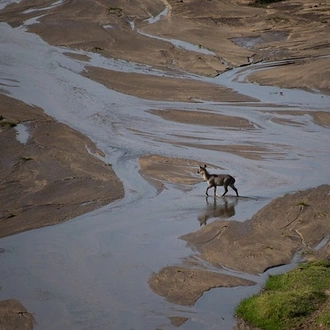 tourhub | Akondo Adventures | 3 Days Tarangire, Lake Manyara and Ngorongoro Safari 