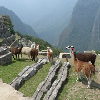 tourhub | Latin Trails | Perú Deluxe: Cultural Adventure 