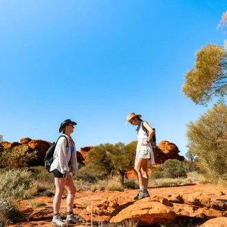 tourhub | Intrepid Travel | Red Centre & Uluru Explorer 