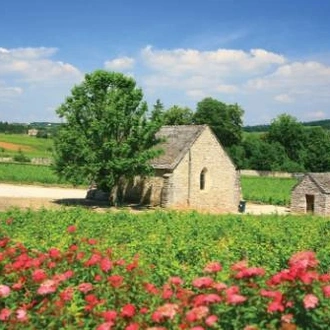 tourhub | UTracks | Burgundy Canals and Vineyards 