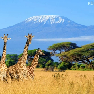 tourhub | Warm and Wild Safaris | 9 Days Road and Air Kenya Family Safari 