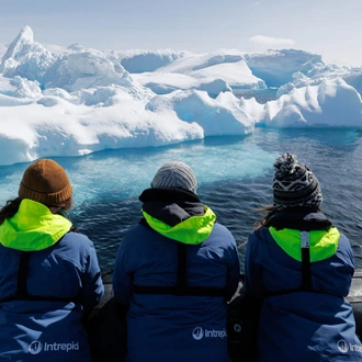 tourhub | Intrepid Travel | Best of Antarctica: Wildlife Explorer (Ocean Endeavour) 