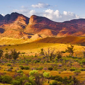 tourhub | Intrepid Travel | Walk South Australia's Flinders Ranges 