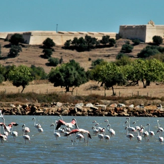 tourhub | Becool Travel | Algarve & Andalucia: Tapas, Walks & Sunsets 