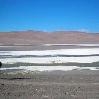 tourhub | On The Go Tours | Argentina, Atacama & Andes - 20 days 