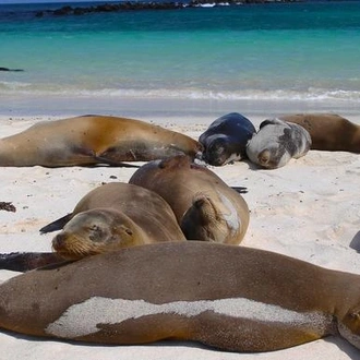 tourhub | G Adventures | Galápagos — West & Central Islands aboard the Eden 