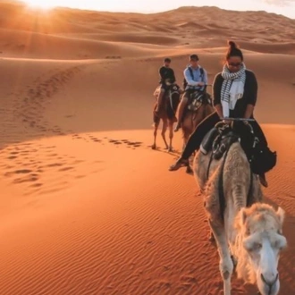 tourhub | VirSem Fun & Travel | Explore the Sahara: 7-Day Camel Trek Adventure in Tunisia 