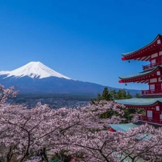 tourhub | On The Go Tours | Essential Japan Explorer - 13 Days 